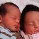 Illustration for article titled Woman With Two Uteruses Gives Birth To Twins